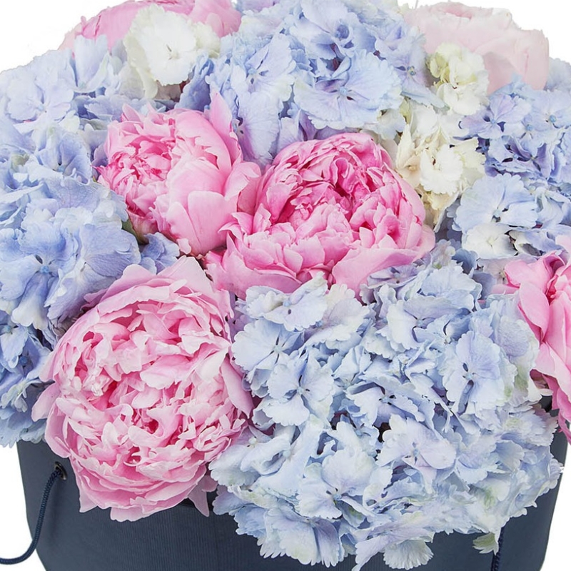 Букет из пионов и гортензий в коробке